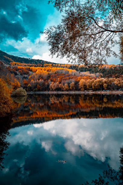istock Background of autumn colors 1286591621