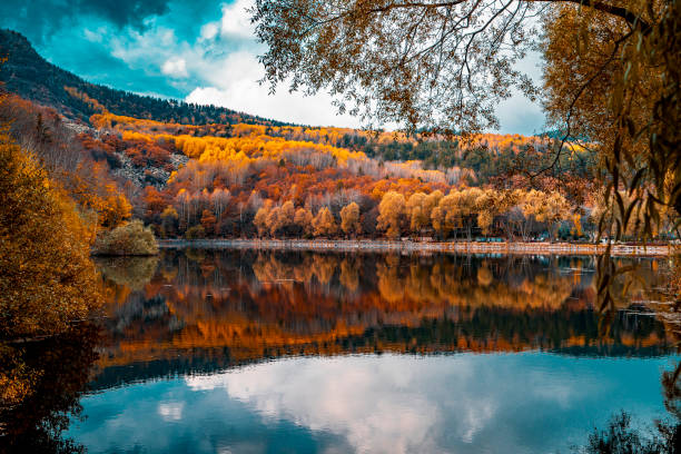 Background of autumn colors Sonbahar mevsimi renklerine bürünen ormanın gölde yansıma fotoğrafı. arka plan fotoğrafı. full frame makine ile çekilmiştir. türkiye country stock pictures, royalty-free photos & images