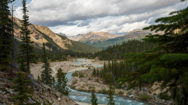 istock Trail of Banff National Park 1286591680