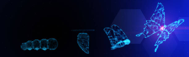 istock 3D Illustration Innovation evolution butterfly for abstract concept of freedom develop future business technology leadership disrupt transform change innovation 5G fintech blockchain network growth 1286593788