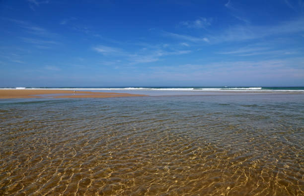 The beach on Venus Bay Victoria, Australia Victoria Bay stock pictures, royalty-free photos & images