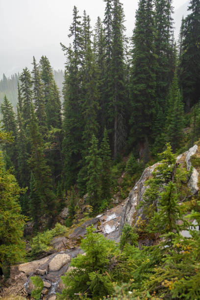 istock Trail of Banff National Park 1286596472