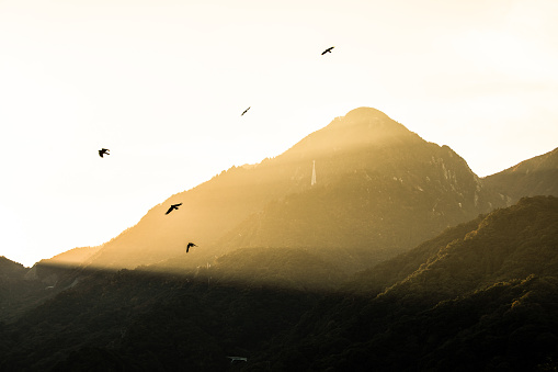 Famous mount Gozaisho in Mie prefecture bathed in afternoon golden sun rays and birds flying around.