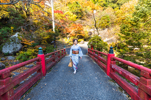 A senior Japanese woman dressed in Kimono enjoying the outdoors while walking across a traditional red wood bridge during the Autumn season in Japan with beautiful colored Maple leaves.