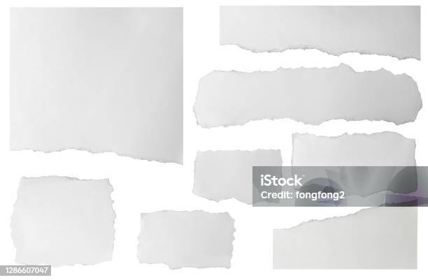 Satz Von Länglich Zerrissenen Papierfragmenten Isoliert Auf Weißem Hintergrund Stockfoto und mehr Bilder von Zeitung