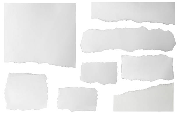 conjunto de fragmentos de papel desgarrados alargados aislados sobre fondo blanco - rasgado fotografías e imágenes de stock