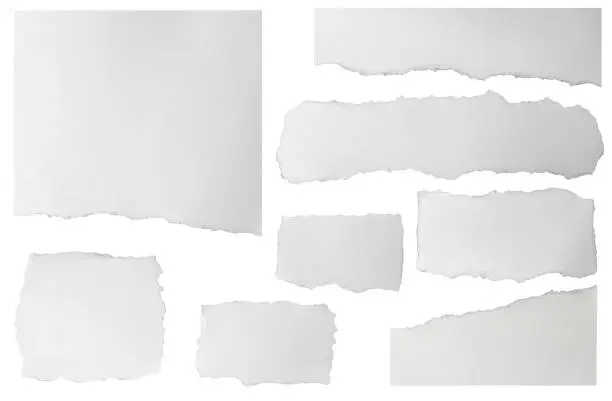 Set of elongated torn paper fragments isolated on white background