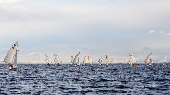 An FJ fleet of sailboats on their downwind leg, all wing-on-wing, competing in a collegiate sailing regatta with university teams from the Pacific Northwest