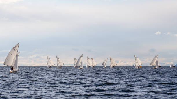 An FJ fleet of sailboats on their downwind leg, all wing-on-wing, competing in a collegiate sailing regatta stock photo