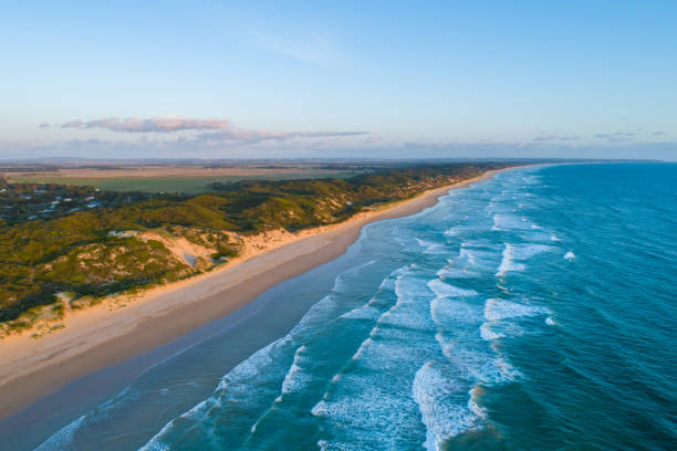 istock Venus Bay beach at sunset - aerial view 1286615610