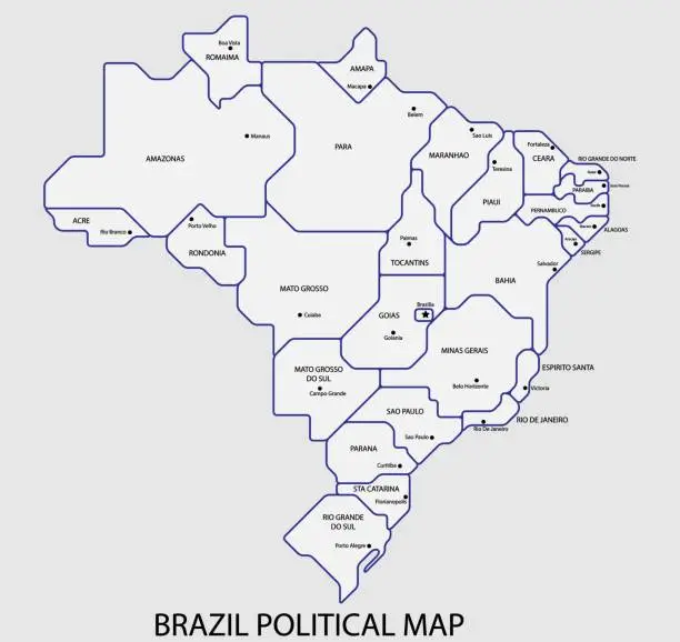 Vector illustration of Brazil political map divide by state colorful outline simplicity style.