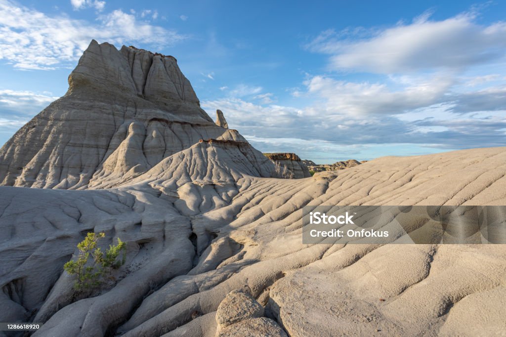 Badlands of Dinosaur Provincial Park at Sunset in Alberta, Canada Badlands of Dinosaur Provincial Park at sunset in Alberta, Canada. Alberta Stock Photo