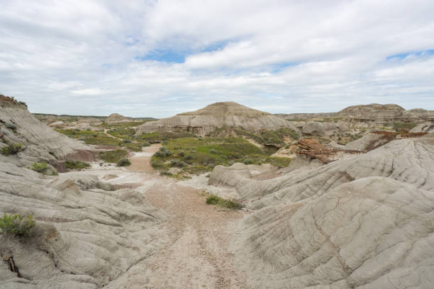 Badlands of Dinosaur Provincial Park in Alberta, Canada.