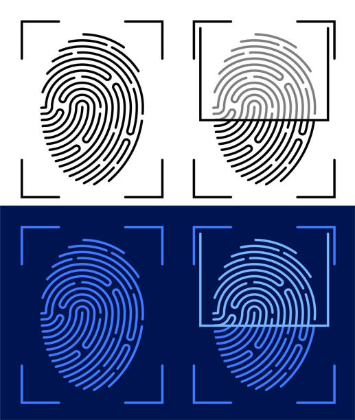 ilustrações de stock, clip art, desenhos animados e ícones de person digital fingerprint icon for mobile identification applications. biometric identification of human data. unique pattern on finger. search devices for scanning data. vector - biometrics control panel touching fingerprint