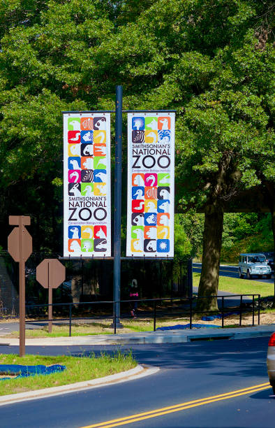 smithsonian national zoo entrance banner - zoo sign entrance the imagens e fotografias de stock