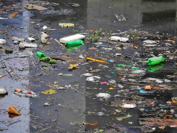 istock View of the polluted Pinheiros River 1286621902