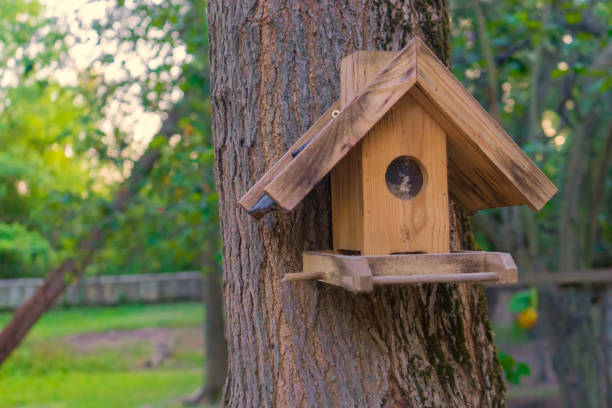istock bird feeders. tree house for the birds, cheerful apartment 1286622665
