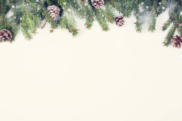 istock fir branches and cones on white background with snow, top view flat lay copy space. Christmas and New Year background 1286626154