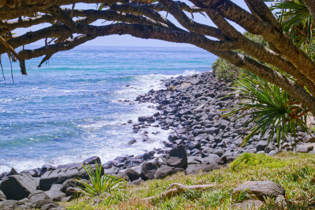 istock Gold Coast rocks beach Burleigh heads 1286626978