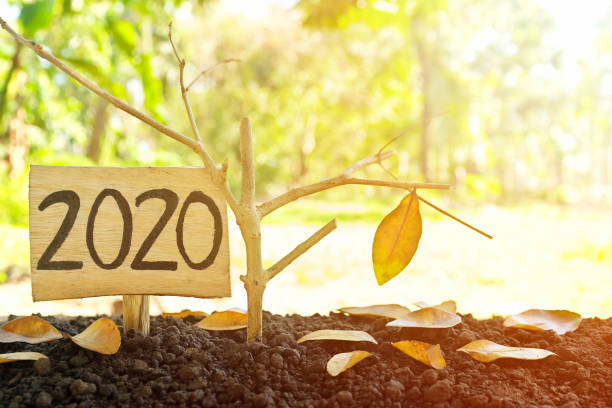 istock A tree branch with a single remaining last leaf hanging beside a 2020 sign at sunset. Farewell, closing, ending yearend, Goodbye 2020 concept. 1286628547