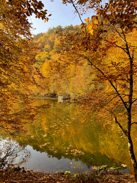 istock Abant  amazing nature view in autumn 1286632552