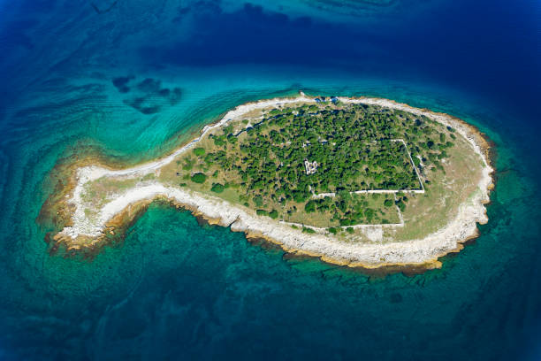 luftaufnahme des nationalparks brijuni, kroatien - europe pine tree sea adriatic sea stock-fotos und bilder