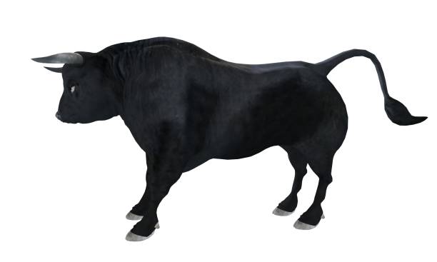 istock Black bull isolated on white background 3d illustration 1286638041