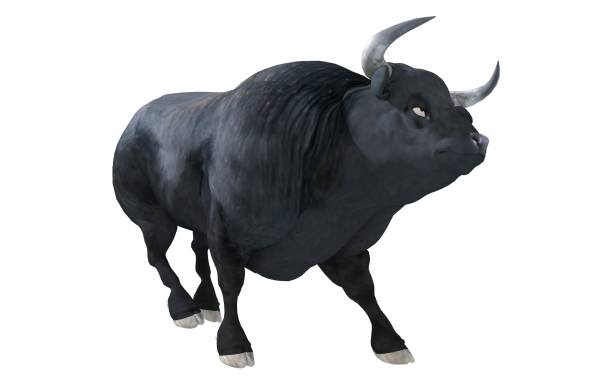 istock Black bull isolated on white background 3d illustration 1286638056
