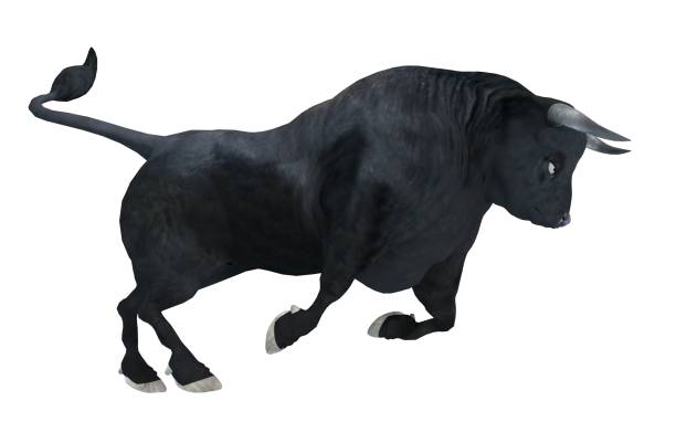 Black bull isolated on white background 3d illustration stock photo