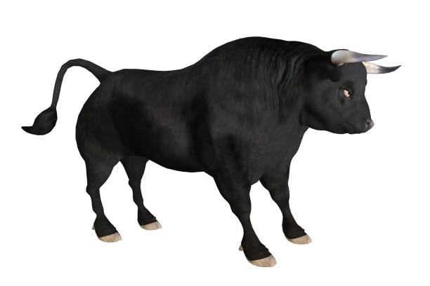 istock Black bull isolated on white background 3d illustration 1286639041