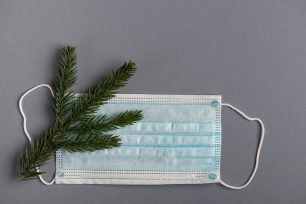 istock Medical face protective mask and fir twig on grey background. 1286639901