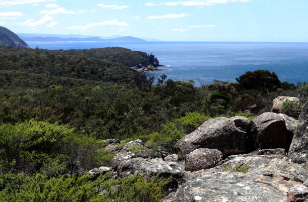 istock Australia Coastline Freycinet National Park Tasmania 1286642654