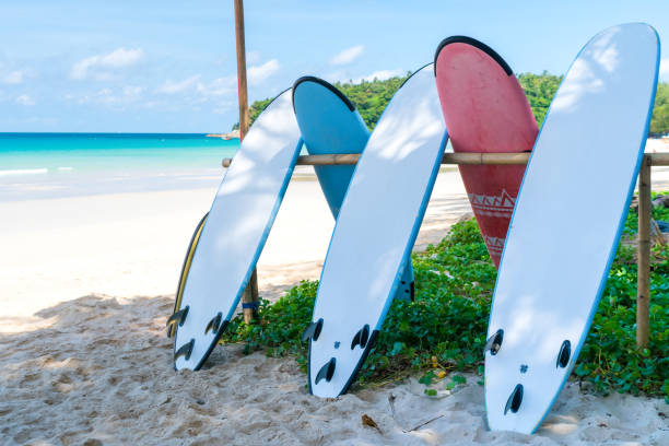 istock Many surfboards for rent  at summer beach with sunlight  blue sky background. 1286642787