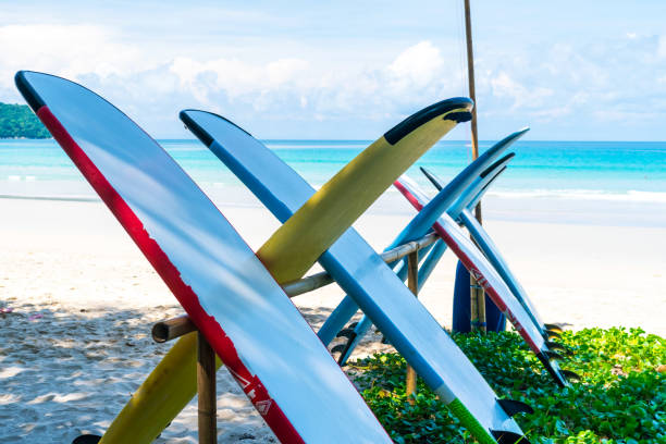 istock Many surfboards for rent  at summer beach with sunlight  blue sky background. 1286642835