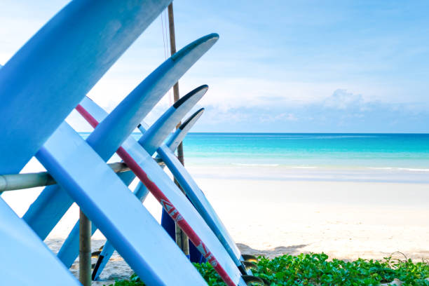istock Many surfboards for rent  at summer beach with sunlight  blue sky background. 1286642872