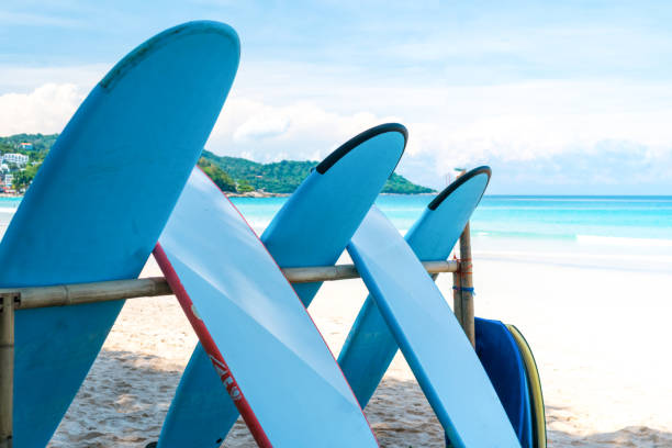 istock Many surfboards for rent  at summer beach with sunlight  blue sky background. 1286642874