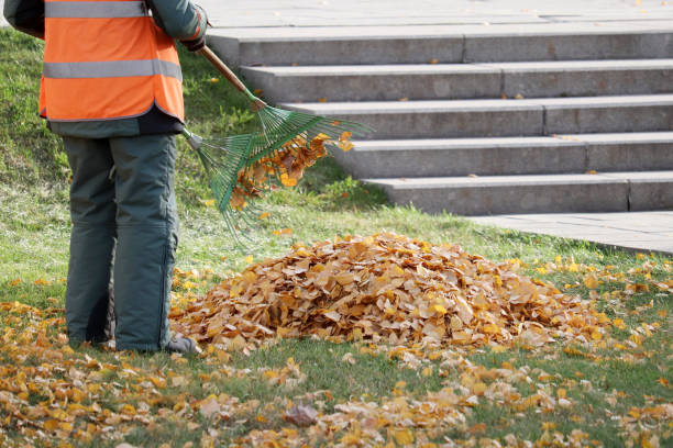 istock Janitor sweeping the fallen leaves on autumn street 1286642993