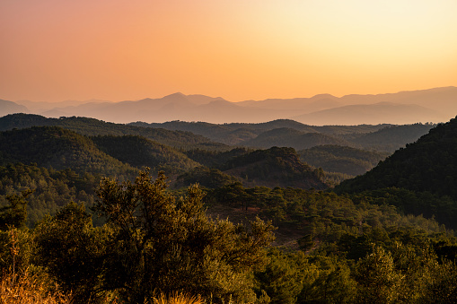 Pine forests over mountains at sunset with a vibrant orange sky in Turkey
