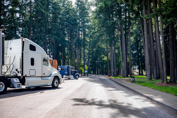 istock Big rigs semi trucks with different semi trailers resting on the scenic forest rest area parking lot with tall evergreen trees 1286645053