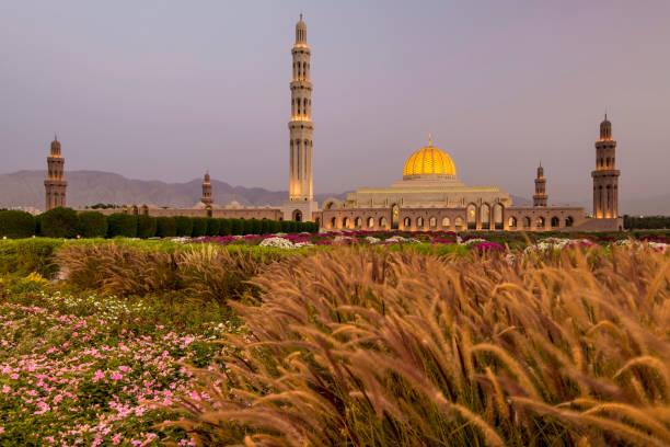 большая мечеть султана кабуа, бушер, султанат оман. - oman greater masqat mosque al khuwair mosque стоковые фото и изображения