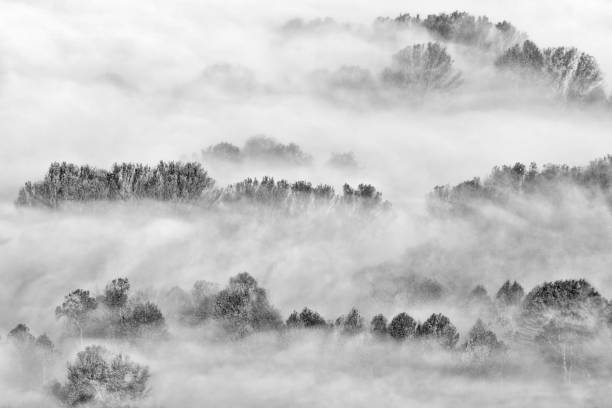 istock Aerial view over the misty forest at dawn 1286648195