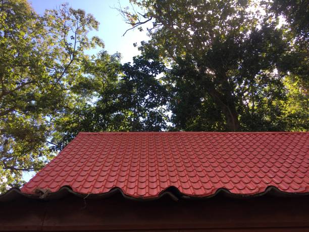 istock Red roof under the trees 1286648689
