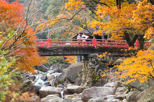 Japanese Mother and Daughter dressed in traditional Kimono and enjoying the Autumn Maple leaves together on a red traditional Japanese style bridge over a river.