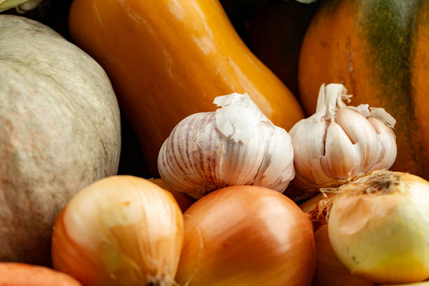 Stacked vegetables pumpkins, onion and garlic close up photo