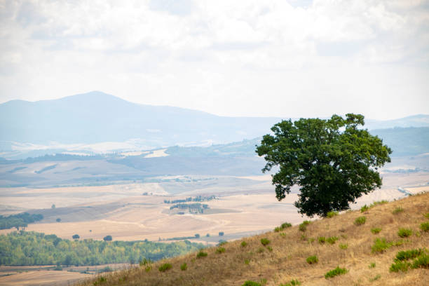 istock Saint Quirico of Orcia 1286654259