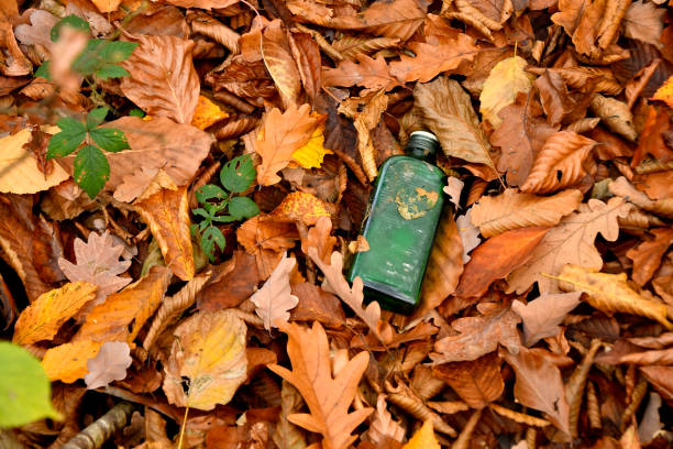 old wine bottle in autumnal painted leaves