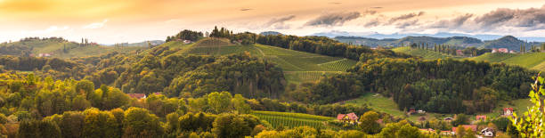 istock Vineyards panorama in South Styria, beginning of autumn. 1286657945