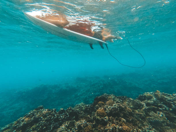 istock Underwater shot of surfer paddling 1286659011