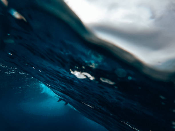 istock Underwater shot of surfer on the wave 1286659172