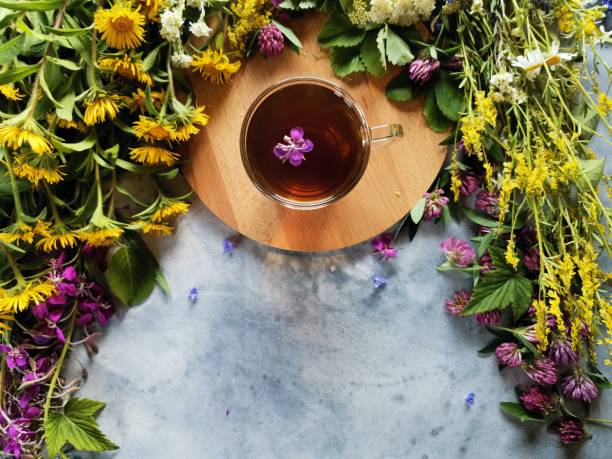 istock forest herbs on a gray table and delicious herbal tea on a wooden stand 1286659556